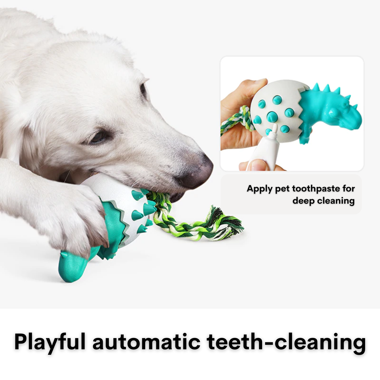 The Pawfect Teeth Toy