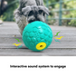 The Pawfect Ball Toy