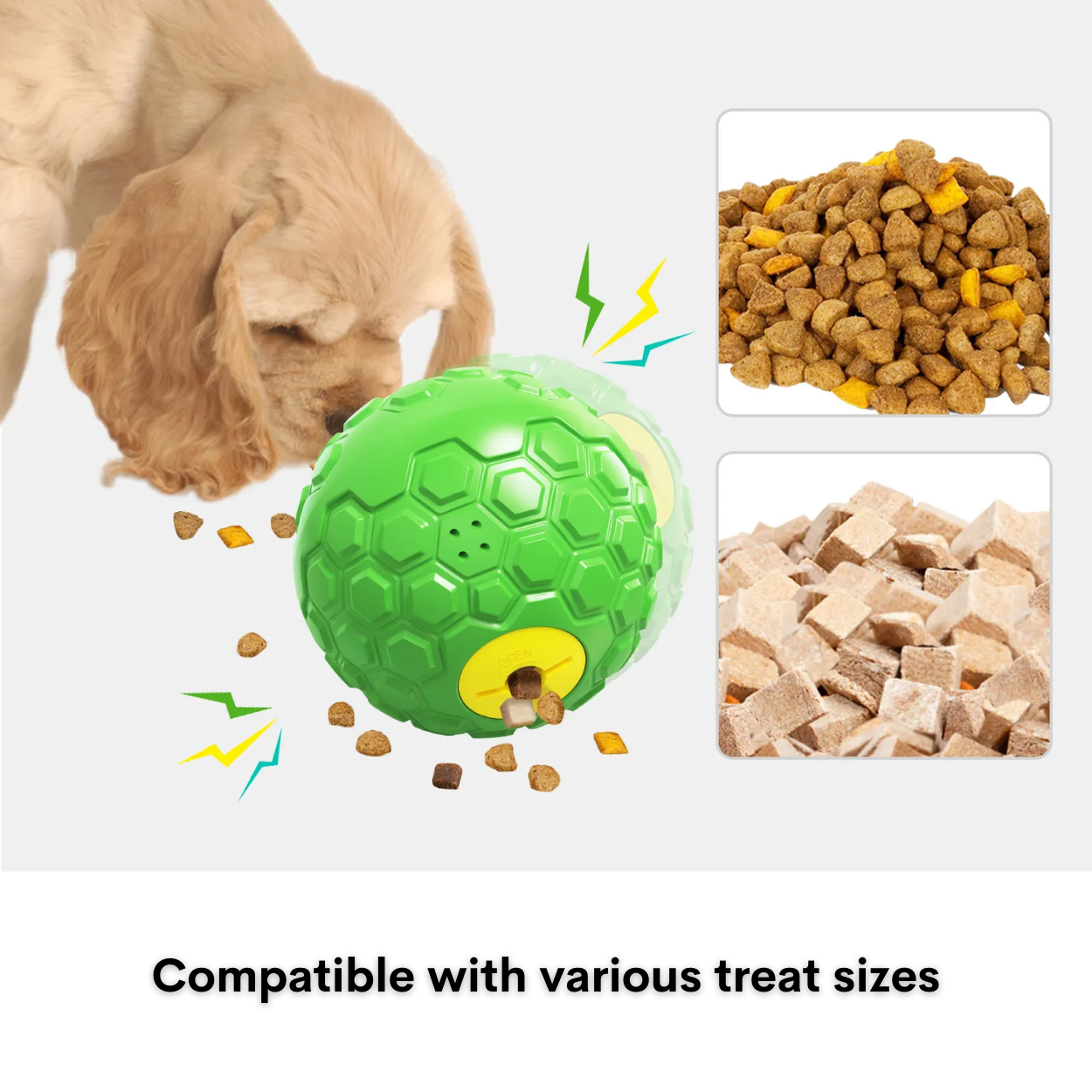 The Pawfect Ball Toy