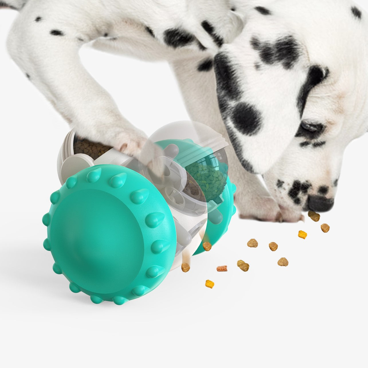 The Pawfect Puzzle Toy