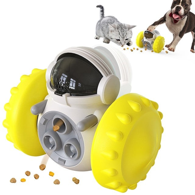 The Pawfect Puzzle Toy
